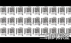 5163银河手机版A-1喷码平台一体机Technical Parameters