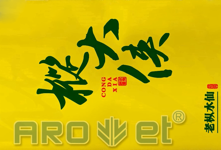 5163银河手机版茶叶包装袋喷印装备在客户现场喷印视频